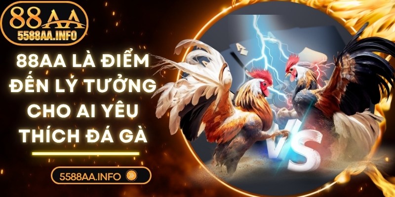 88AA là điểm đến lý tưởng cho những ai yêu thích đá gà
