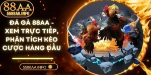 Đá Gà 88AA